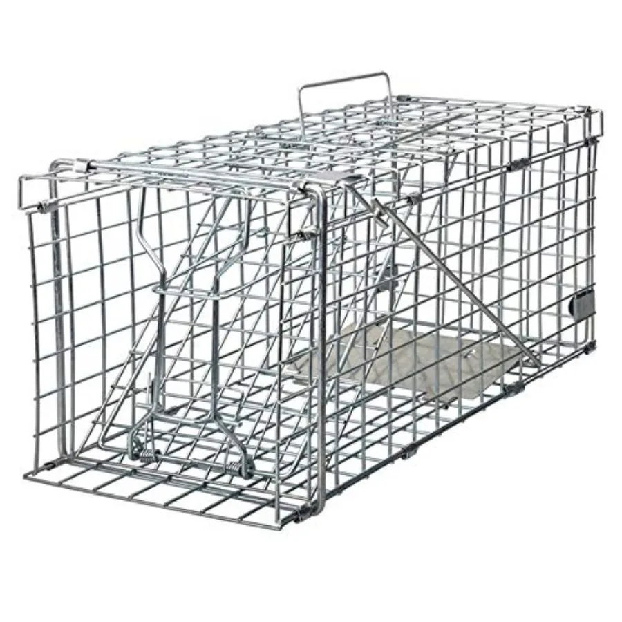 Squirrel Trap Foldable Heavy Duty Humane Live Animal Cage Trap Not for Mouse
Squirrel Trap Foldable Heavy Duty Humane Live Animal Cage Trap Not for Mouse