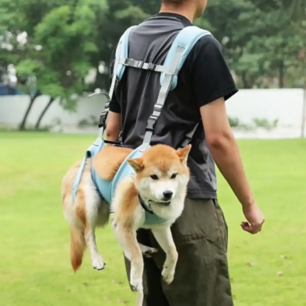Soft Pet Carrier Bags Big Capacity Adjustable Dog Duffel Bag Breathable with Safety Strap and Pocket Dog Sling Harness
Soft Pet Carrier Bags Big Capacity Adjustable Dog Duffel Bag Breathable with Safety Strap and Pocket Dog Sling Harness
