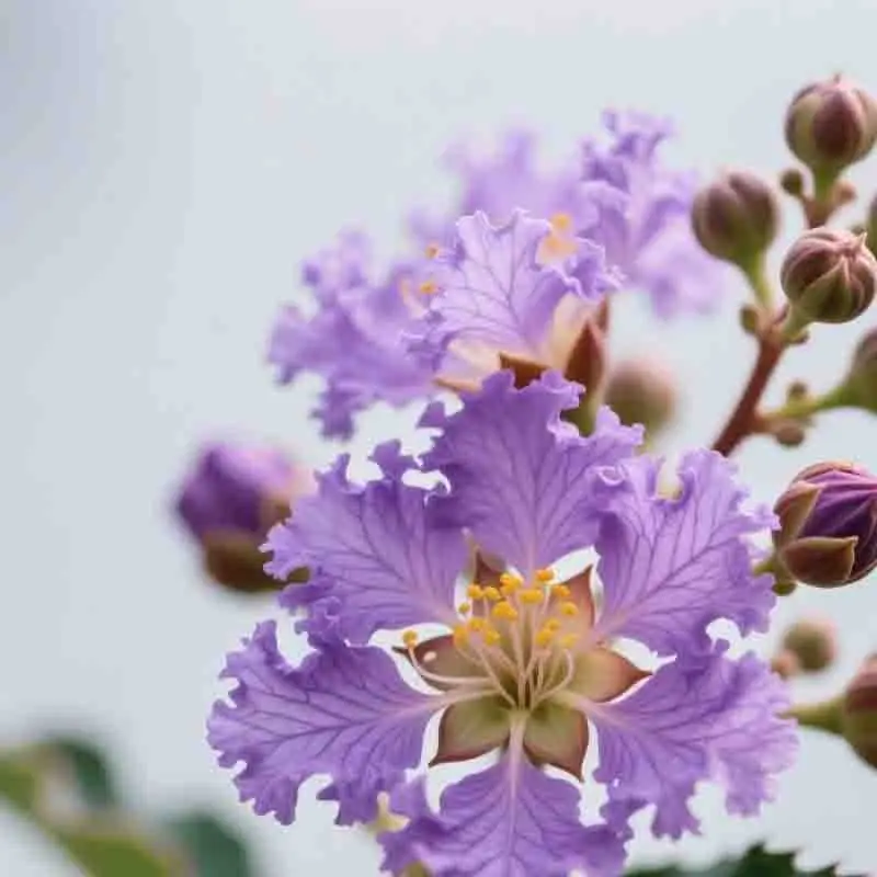 Radiolink TBS Crossfire Connect Cable for Racing Drone AT9S Pro 12CH RC Transmitter Controller
Radiolink TBS Crossfire Connect Cable for Racing Drone AT9S Pro 12CH RC Transmitter Controller