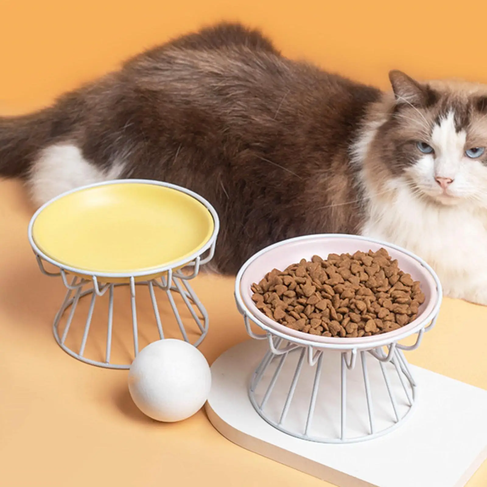 Raised Cat Food Bowl Porcelain Bowl Metal Stand Durable Versatile Simple Cleaning Accessories Detachable Stylish for Indoor Cats
Raised Cat Food Bowl Porcelain Bowl Metal Stand Durable Versatile Simple Cleaning Accessories Detachable Stylish for Indoor Cats