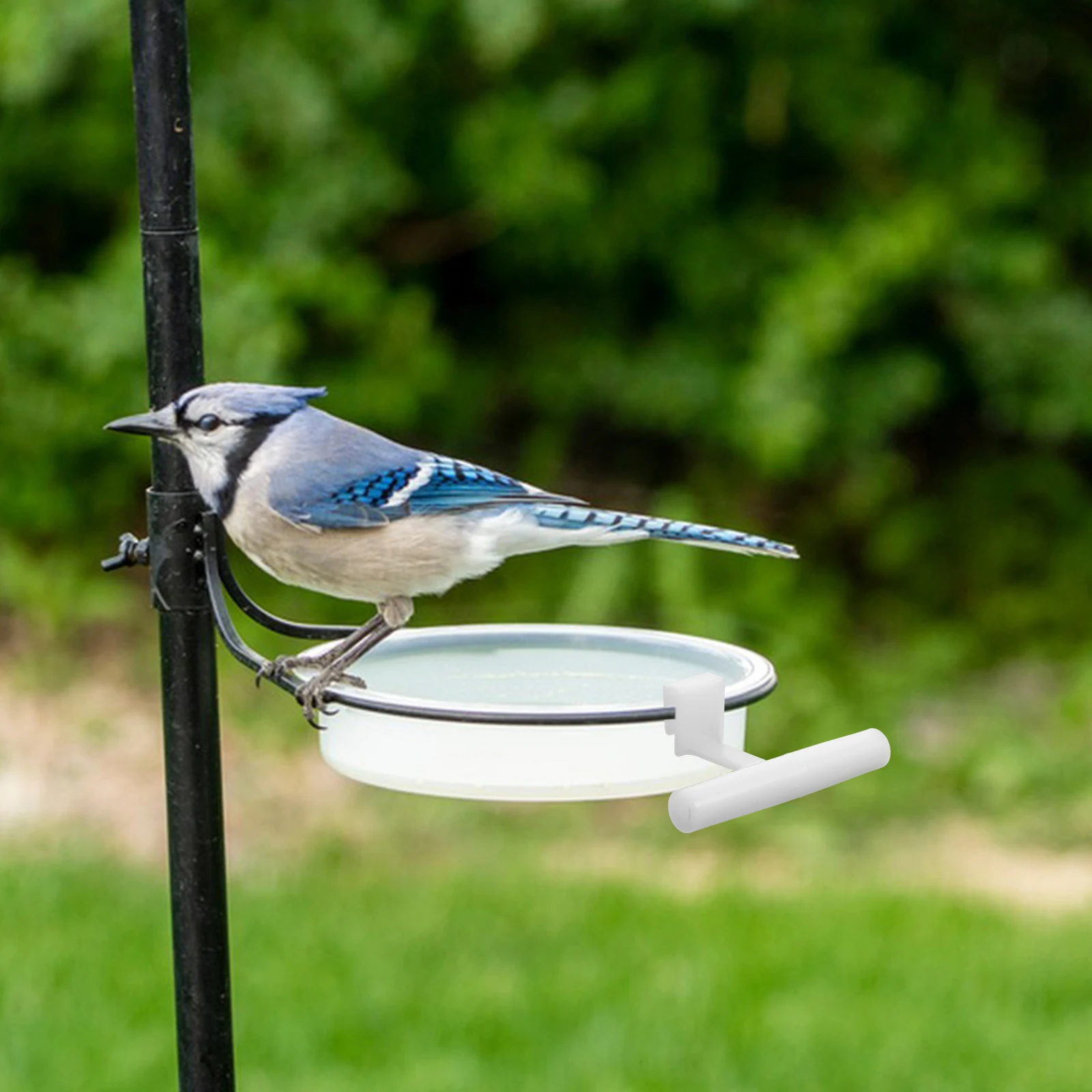 5pcs Bird Feeder Perch Stand Hummingbird Station Acrylic Durable Outdoor Pole Cage Accessory Sturdy Food Bowl Holder for Birds
5pcs Bird Feeder Perch Stand Hummingbird Station Acrylic Durable Outdoor Pole Cage Accessory Sturdy Food Bowl Holder for Birds