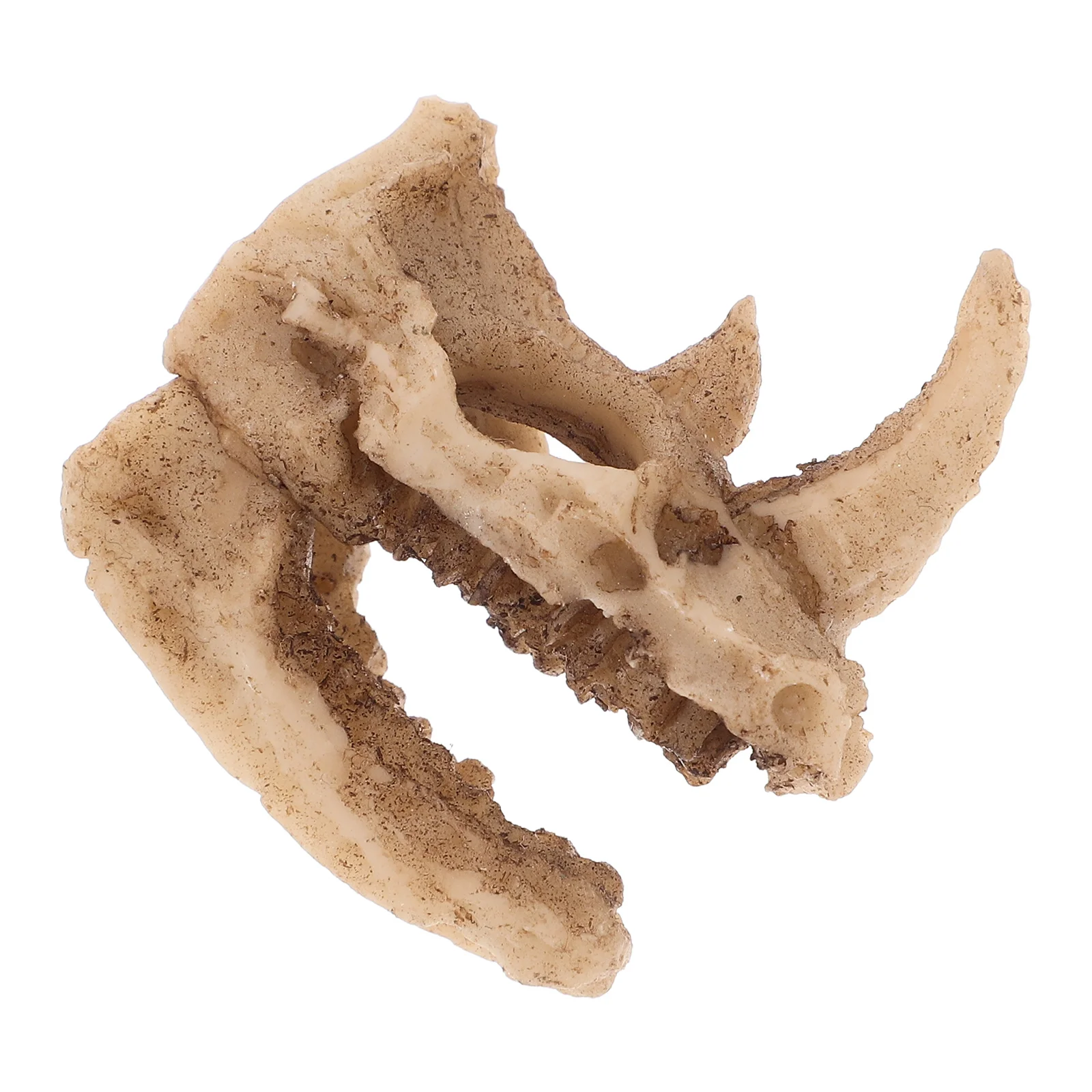 Rhino Skull Ornaments Terrarium Decor Resin Shelter Small Pets Cave Frog Snake Habitat Hiding Place Bearded Dragon Lizard Turtle
Rhino Skull Ornaments Terrarium Decor Resin Shelter Small Pets Cave Frog Snake Habitat Hiding Place Bearded Dragon Lizard Turtle
