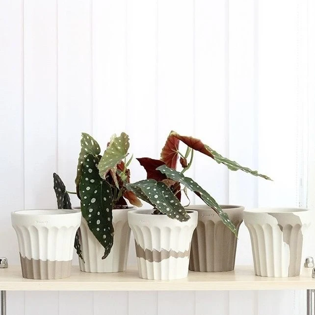 Japanese Sle Handmade Cerc Plant Pots High-legged Breathable Succulent Orchid Clay Py without Glaze for Home Decor
Japanese Sle Handmade Cerc Plant Pots High-legged Breathable Succulent Orchid Clay Py without Glaze for Home Decor