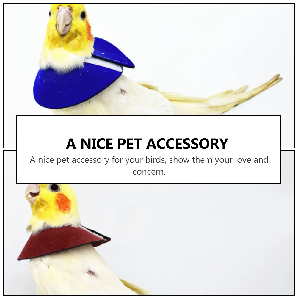 2pcs Recovery Neck Anti-biting Collar Protective Cone for Parrot Parrot Recovery Collar Pet Supplies Blue Red
2pcs Recovery Neck Anti-biting Collar Protective Cone for Parrot Parrot Recovery Collar Pet Supplies Blue Red