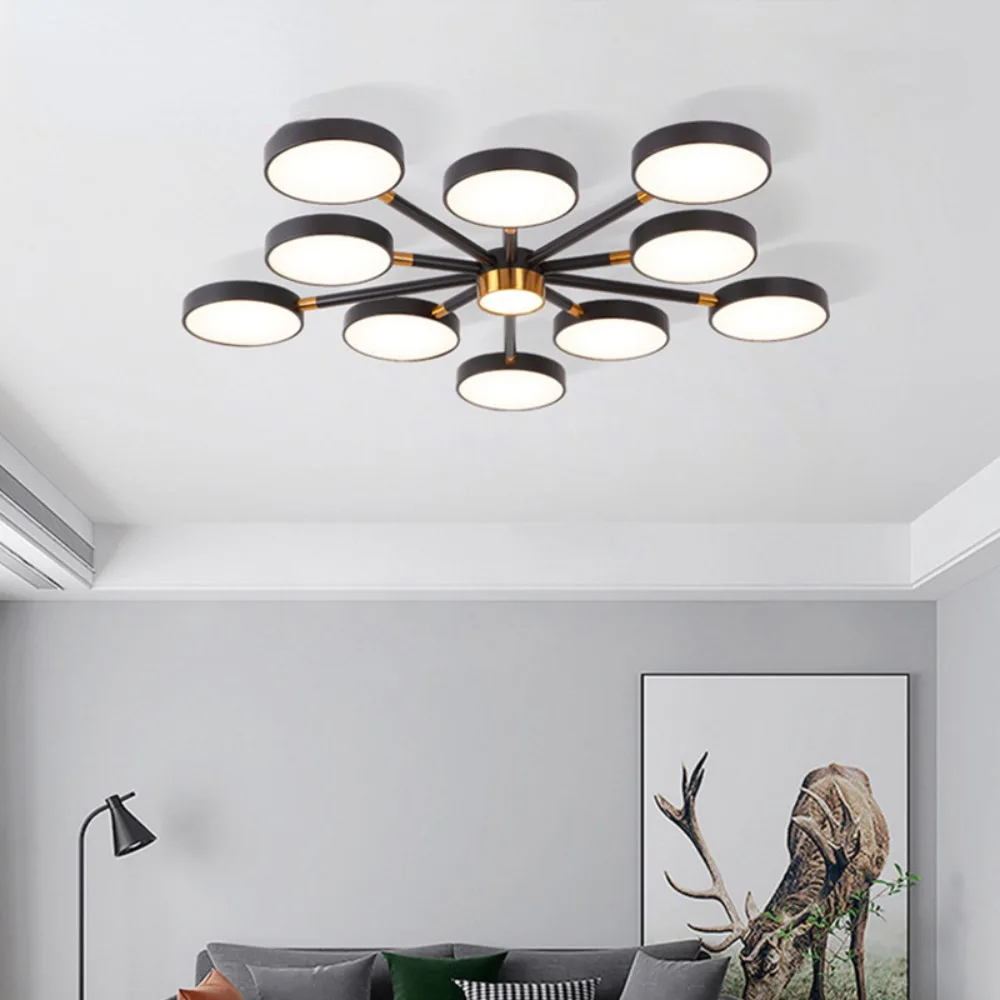 LED Chandelier for Living Room Bedroom, LED Ceiling Lights, 3 Color Light Changeable
LED Chandelier for Living Room Bedroom, LED Ceiling Lights, 3 Color Light Changeable