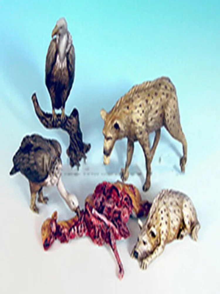 1/35 modern animal set Resin figure Model kits Miniature gk Unassembly Unpainted
1/35 modern animal set Resin figure Model kits Miniature gk Unassembly Unpainted