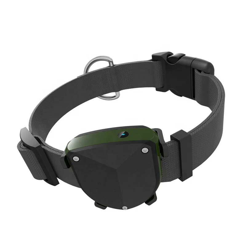 ready to ship pets GPS tracker 2G network IP67 waterproof support sim card support APP for Android and IOS smartphone
ready to ship pets GPS tracker 2G network IP67 waterproof support sim card support APP for Android and IOS smartphone