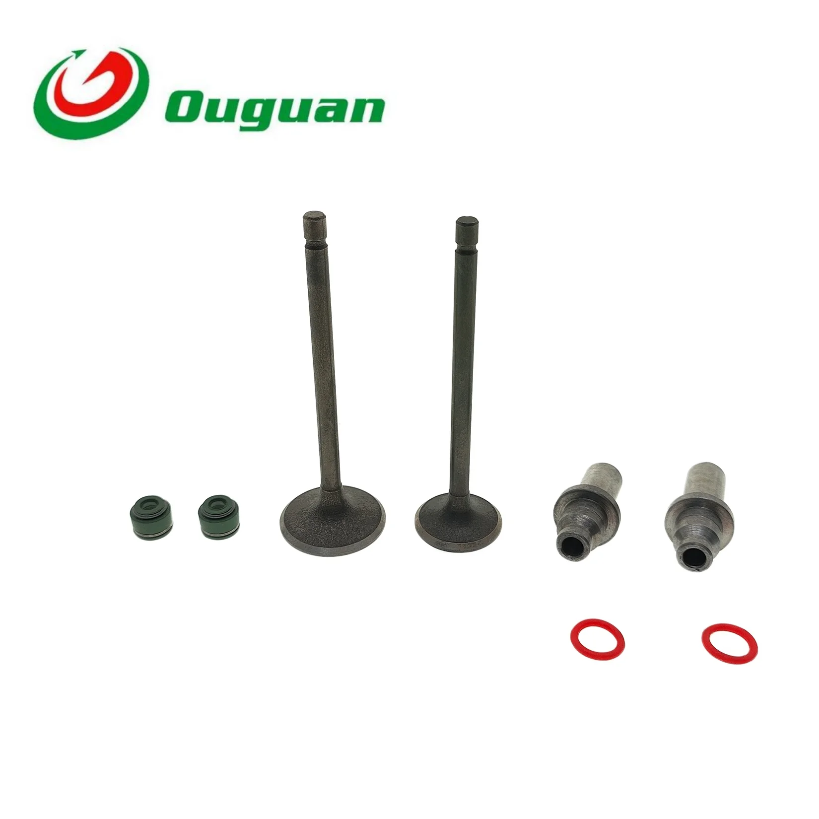 ouguan for Italika DM150 DM 150 FT150 FT180 FT 150 180 150CC 180CC Valve Intake Exhaust Stem Valve Guide Oil Seal
ouguan for Italika DM150 DM 150 FT150 FT180 FT 150 180 150CC 180CC Valve Intake Exhaust Stem Valve Guide Oil Seal