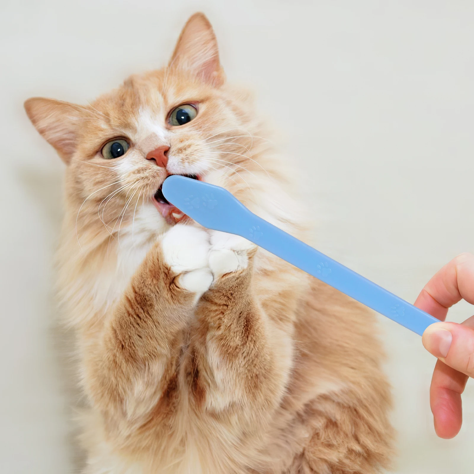 12pcs Pet Oral Cleaning Toothbrush Set Dual Headed Dog Teeth Brush for Small Pets Plaque Removal Safe Material Gift Pet Owners
12pcs Pet Oral Cleaning Toothbrush Set Dual Headed Dog Teeth Brush for Small Pets Plaque Removal Safe Material Gift Pet Owners