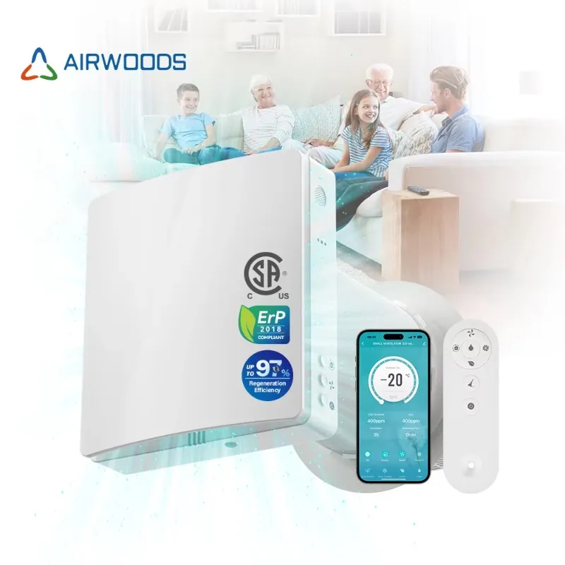 Single Room Erv Tiny Homes Fresh Air Filtration Supply System Manufacturer Direct Tu ya App Smart Control Recuperator
Single Room Erv Tiny Homes Fresh Air Filtration Supply System Manufacturer Direct Tu ya App Smart Control Recuperator