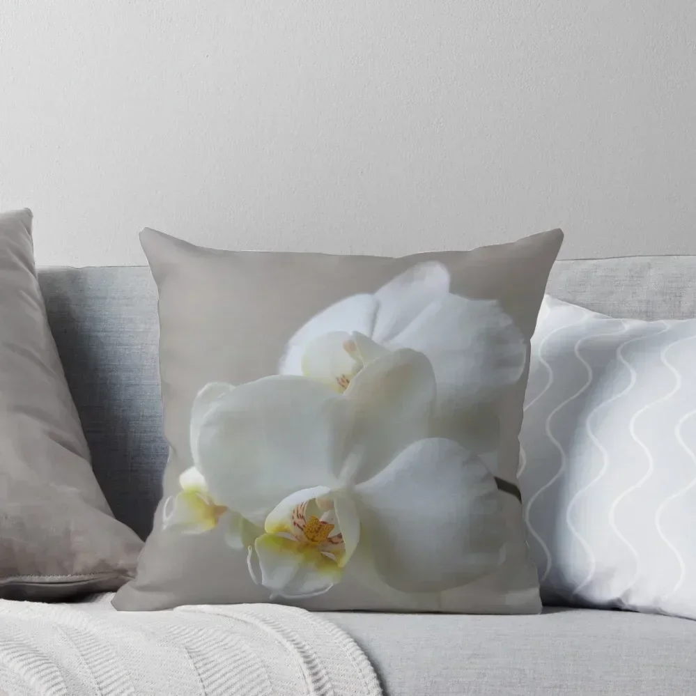 White Orchid Throw Pillow autumn pillowcase Sofa Pillow Cover Cushion Covers For Living Room pillow
White Orchid Throw Pillow autumn pillowcase Sofa Pillow Cover Cushion Covers For Living Room pillow