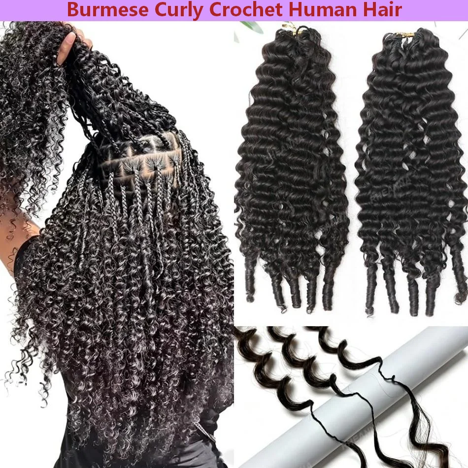 Burmese Curly Feather Crochet Human Hair Extensions Pre-Separated Pre-Separated & Pre-Fluffed Lightweight Reusable Natural Color
Burmese Curly Feather Crochet Human Hair Extensions Pre-Separated Pre-Separated & Pre-Fluffed Lightweight Reusable Natural Color