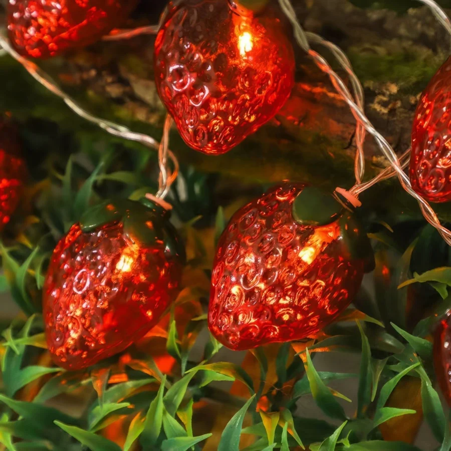 1PC Cute Fruit Strawberry String Lights, Warm White LED Fairy Lights for Bedroom Patio Wedding Decor
1PC Cute Fruit Strawberry String Lights, Warm White LED Fairy Lights for Bedroom Patio Wedding Decor