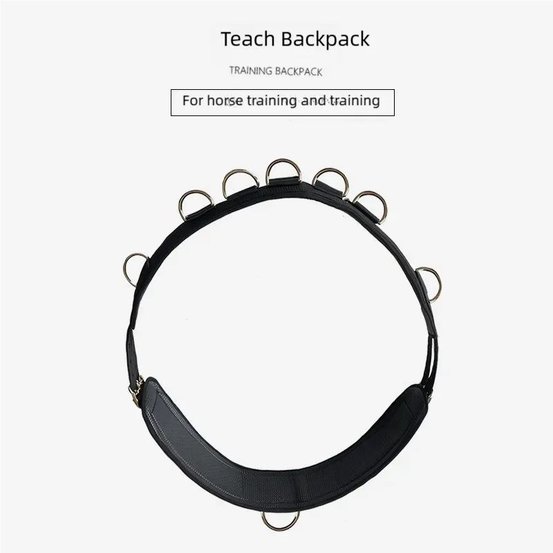 Baslong Equestrian Girth Horse Riding Equipment Hight Quality Horse Belly Belt Adjustable Padded for Horse Ground Training
Baslong Equestrian Girth Horse Riding Equipment Hight Quality Horse Belly Belt Adjustable Padded for Horse Ground Training