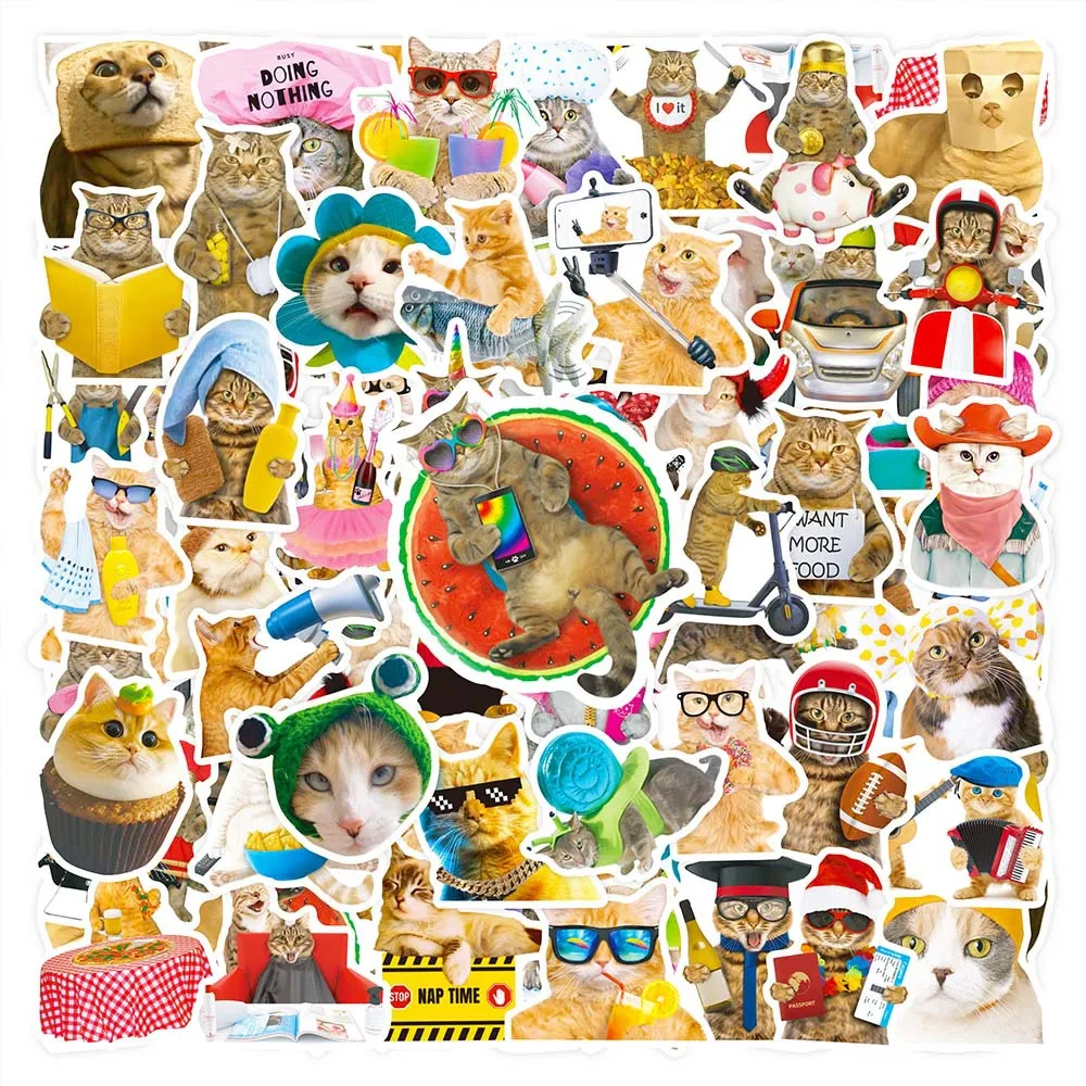10/30/50PCS Funny Cat Cartoon Stickers Decals Decoration DIY Phone Notebook Suitcase Laptop Fridge Wall Cute Animal Sticker Gift
10/30/50PCS Funny Cat Cartoon Stickers Decals Decoration DIY Phone Notebook Suitcase Laptop Fridge Wall Cute Animal Sticker Gift