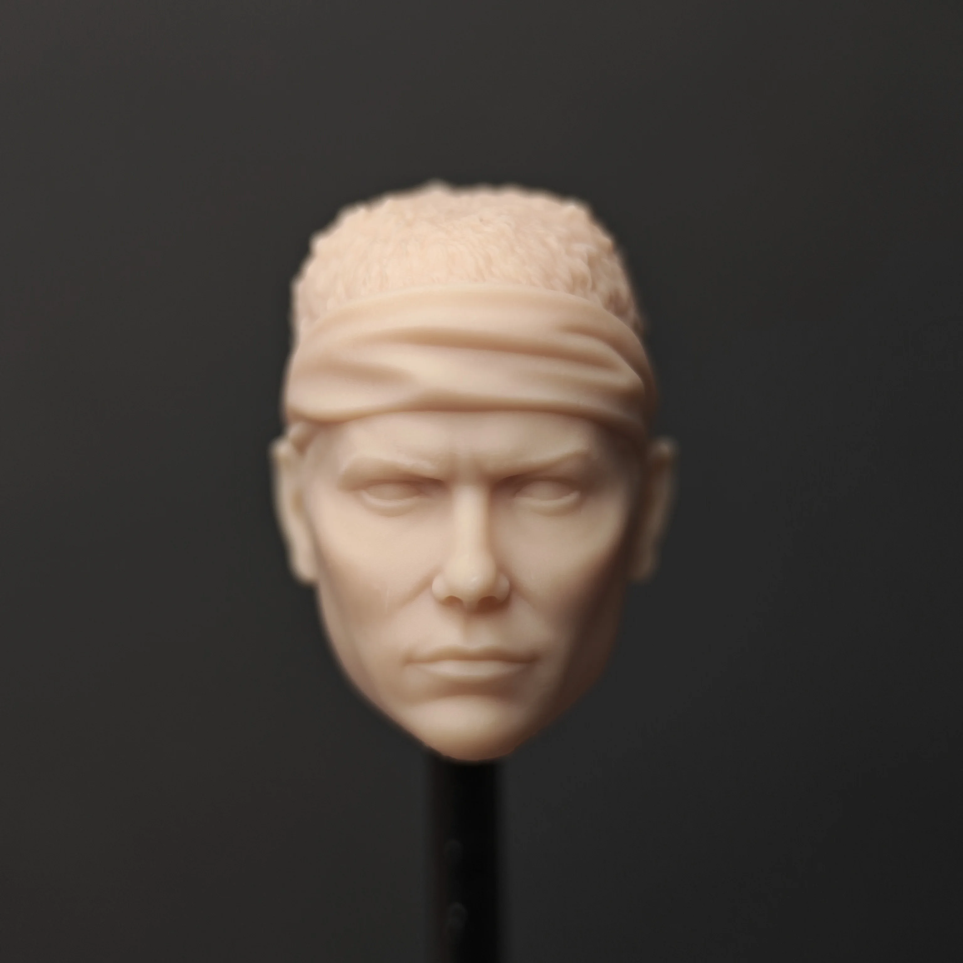 HL2147 DIY Customized 1/18 1/12 1/10 Jenette G Aliens Unpainted Head Sculpt for 3.75" 6" 7" Figure SHF ML Mafex Mez NECA Mcf
HL2147 DIY Customized 1/18 1/12 1/10 Jenette G Aliens Unpainted Head Sculpt for 3.75" 6" 7" Figure SHF ML Mafex Mez NECA Mcf