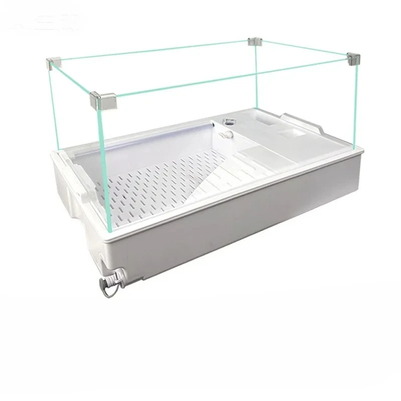 Household Ultra-Clear Glass Turtle Tank - With Basking/Climbing Platform & Filter, Ecological Reptile Terrarium
Household Ultra-Clear Glass Turtle Tank - With Basking/Climbing Platform & Filter, Ecological Reptile Terrarium