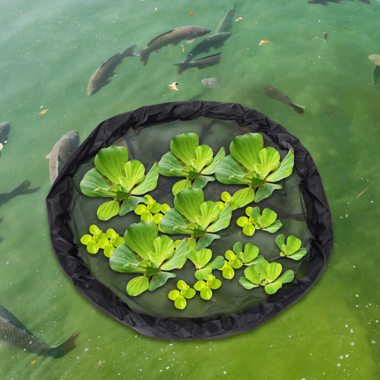 Floating Island Plants Protector Durable Material Easy Installation Decorations Water Plants Planter Round Design Black
Floating Island Plants Protector Durable Material Easy Installation Decorations Water Plants Planter Round Design Black