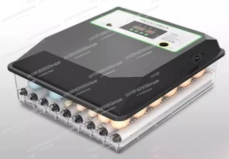 Инкубатор для яиц, умный дом, автоматический инкубатор для подъема курицы, утки, гусячих яиц, постоянная температура
Инкубатор для яиц, умный дом, автоматический инкубатор для подъема курицы, утки, гусячих яиц, постоянная температура