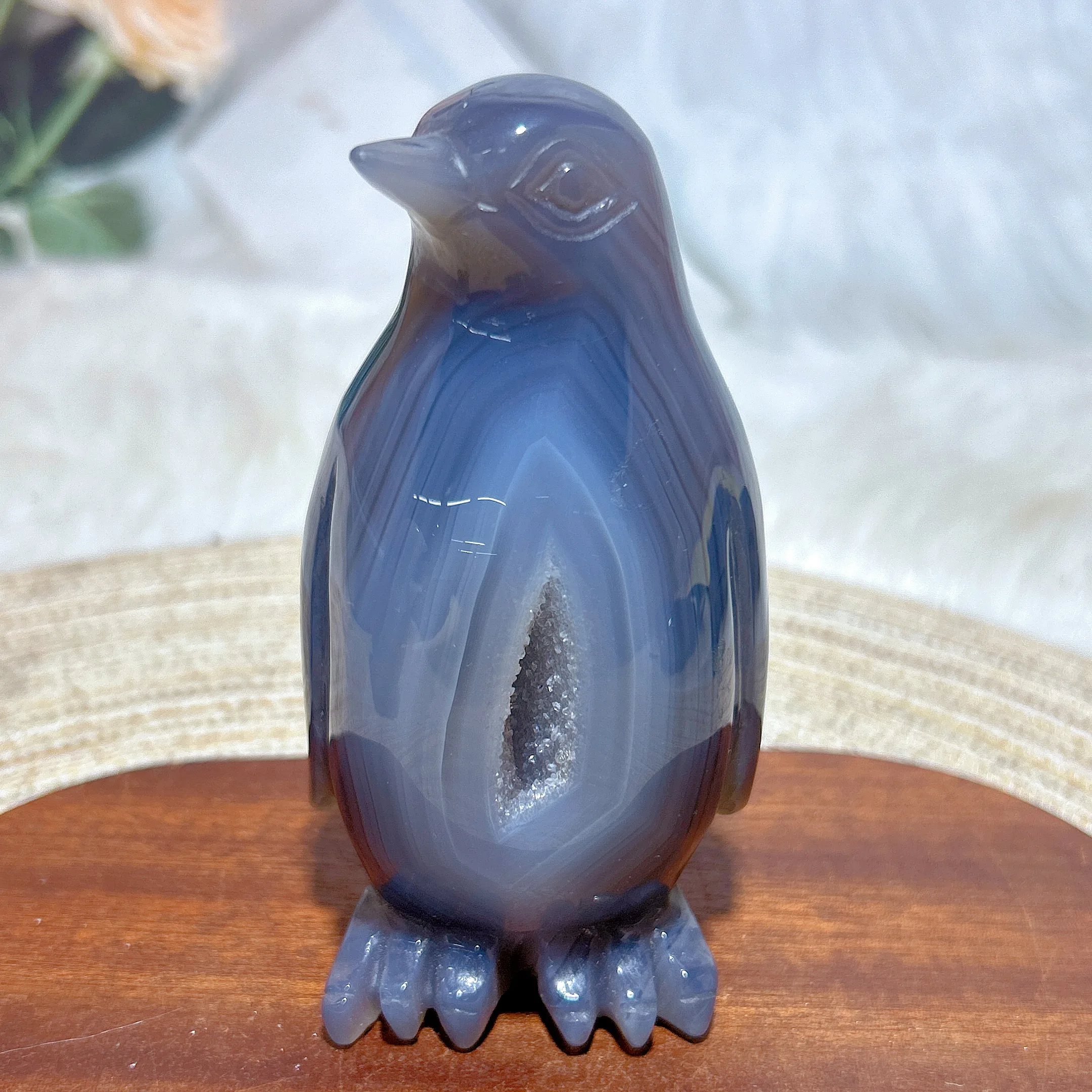Healing Natural Crystal Agate Druzy Geode Penguin Carving High Quality Gemstones Energy Reiki Home Decorations Room Decor Gift
Healing Natural Crystal Agate Druzy Geode Penguin Carving High Quality Gemstones Energy Reiki Home Decorations Room Decor Gift