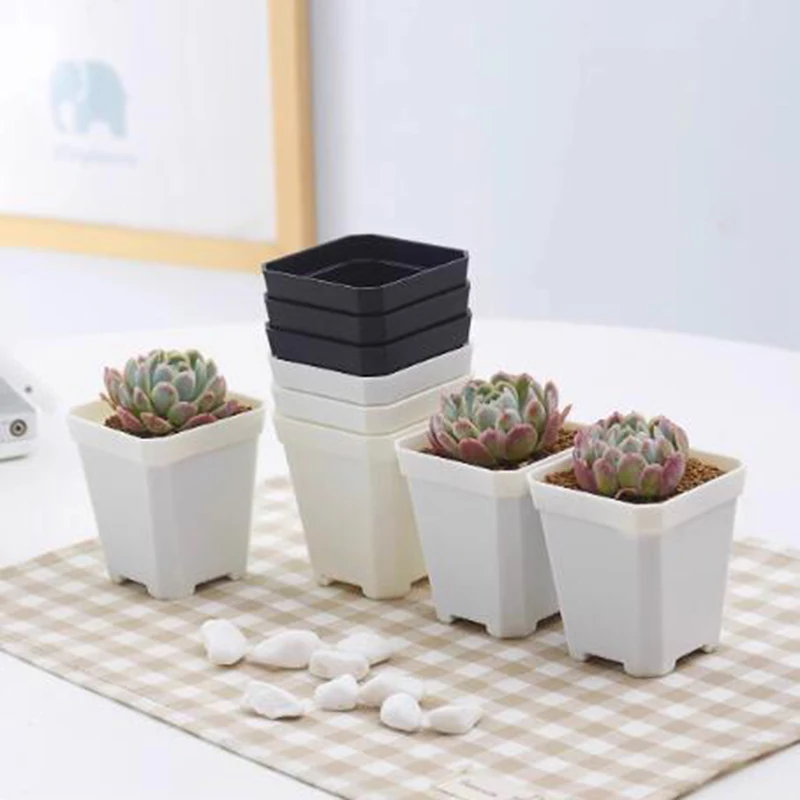20/40pcs Mini Plastic Square Cup Flower Pot Plant Seeds Vegetable Succulent Planting Wholesale
20/40pcs Mini Plastic Square Cup Flower Pot Plant Seeds Vegetable Succulent Planting Wholesale