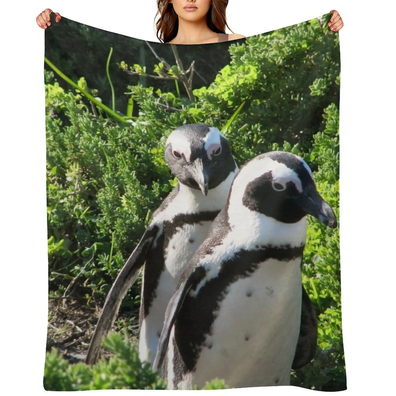 Two African Penguins Strolling Boulders Beach, Cape Town, South Africa Throw Blanket Sofa Throw Shaggy Soft Tourist Blankets
Two African Penguins Strolling Boulders Beach, Cape Town, South Africa Throw Blanket Sofa Throw Shaggy Soft Tourist Blankets