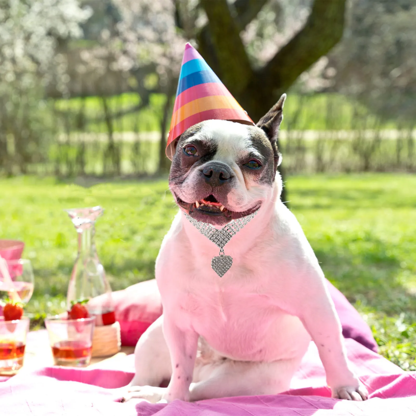 Блестящий регулируемый ошейник для домашних животных с подвеской в виде сердца, украшенный стразами, шириной 3,54 дюйма, для кошек, собак, маленьких щенков и котят, для праздничного наряда
Блестящий регулируемый ошейник для домашних животных с подвеской в виде сердца, украшенный стразами, шириной 3,54 дюйма, для кошек, собак, маленьких щенков и котят, для праздничного наряда