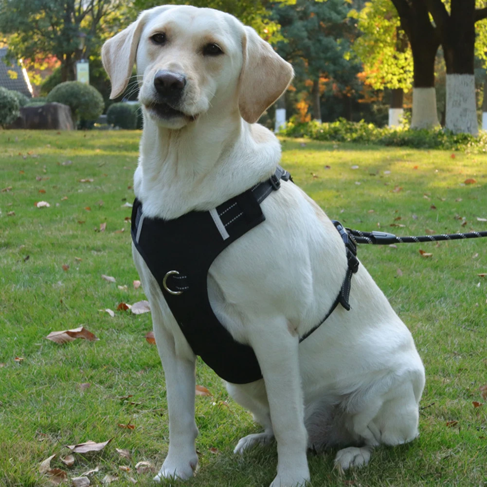 Adjustable Dog Harness Vest With Front Chest Metal Ring For Small Dogs No Pull Escape Proof Reflective Easy Walk Puppy Harness
Adjustable Dog Harness Vest With Front Chest Metal Ring For Small Dogs No Pull Escape Proof Reflective Easy Walk Puppy Harness