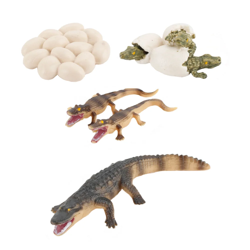 Growth Cycle Model Toys Realistic Plastic Educational Plaything Amphibious Animal Toy For Kids Intelligence
Growth Cycle Model Toys Realistic Plastic Educational Plaything Amphibious Animal Toy For Kids Intelligence