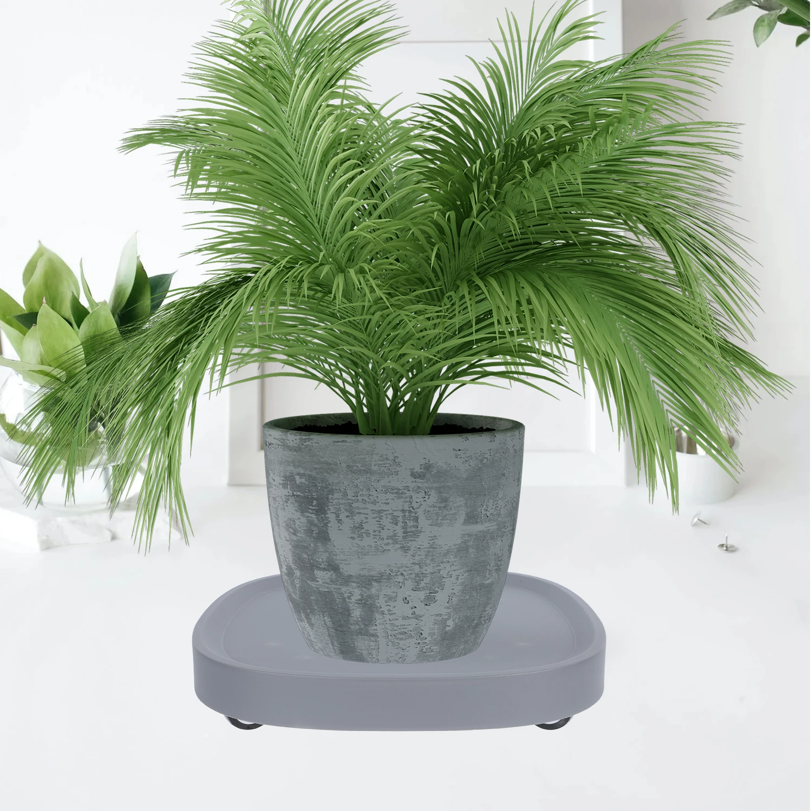 1pc Thickened Plastic Flowerpot Stand With Silent Wheels Large Rolling Vase Rack Durable Floor Plant Tray For
1pc Thickened Plastic Flowerpot Stand With Silent Wheels Large Rolling Vase Rack Durable Floor Plant Tray For