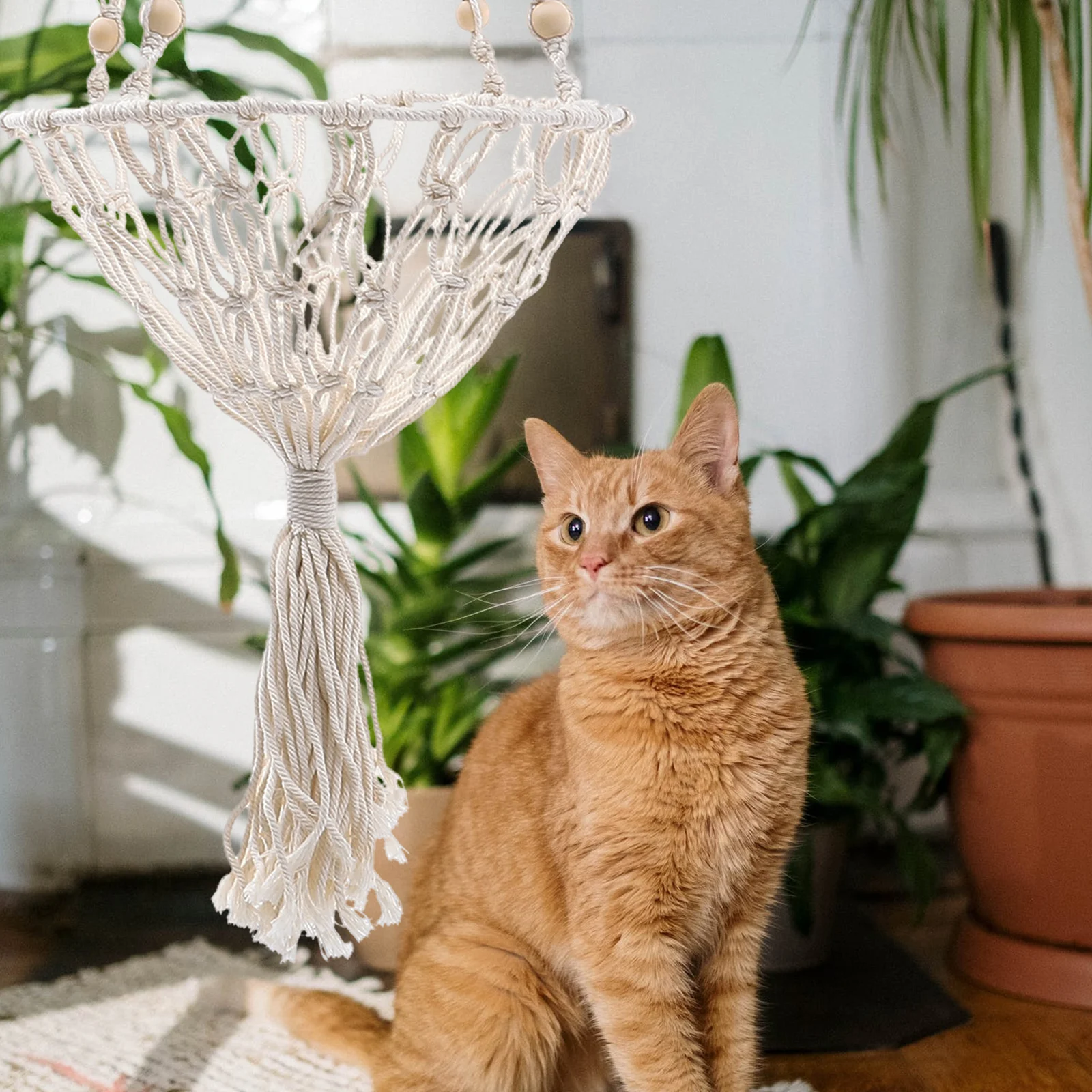Pet Hammock H woven Cat Nest Khaki Cotton Adjustable Hook Hanging Swing Breathing Comfort Indoor Use Cat Litter Box Pet
Pet Hammock H woven Cat Nest Khaki Cotton Adjustable Hook Hanging Swing Breathing Comfort Indoor Use Cat Litter Box Pet
