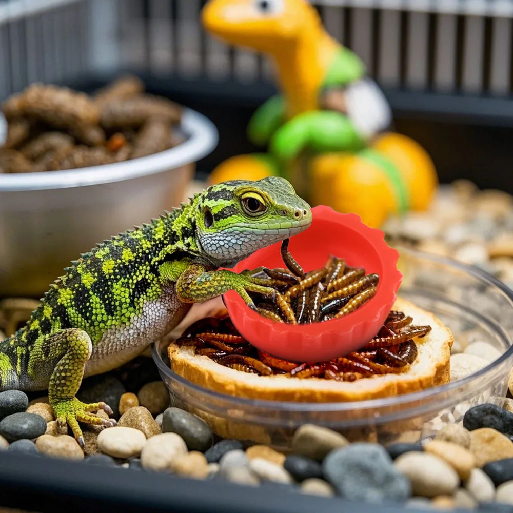 6pcs Pet Feeding Bowl Turtle Bowls Colorful Silica Gel Drinking Wide Rim Smooth Surface Silicone Lizard Water Dish
6pcs Pet Feeding Bowl Turtle Bowls Colorful Silica Gel Drinking Wide Rim Smooth Surface Silicone Lizard Water Dish