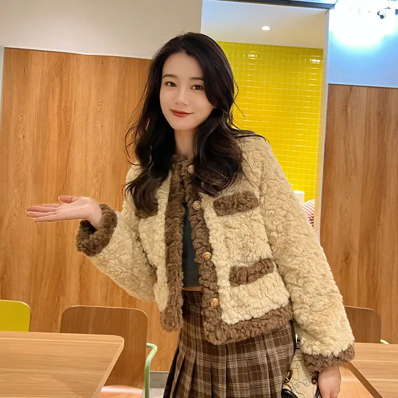2023 Autumn Winter Female New Korean Temperament Celebrity Little Fragrance Versatile Short Lamb Wool Coat Women Loose Plush Top
2023 Autumn Winter Female New Korean Temperament Celebrity Little Fragrance Versatile Short Lamb Wool Coat Women Loose Plush Top
