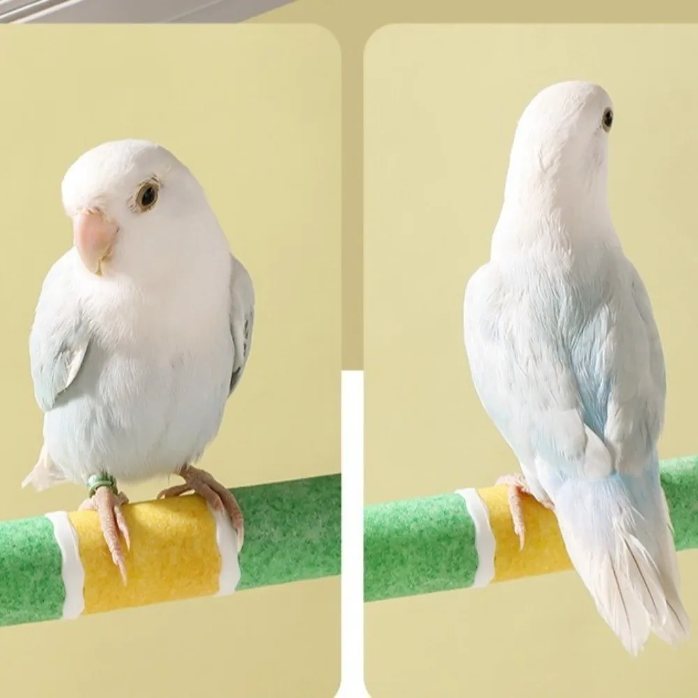 Износостойкая нескользящая подставка-грызунок для попугаев Frosted Parrot: устойчивая, устойчивая к укусам, для стачивания клюва птиц
Износостойкая нескользящая подставка-грызунок для попугаев Frosted Parrot: устойчивая, устойчивая к укусам, для стачивания клюва птиц