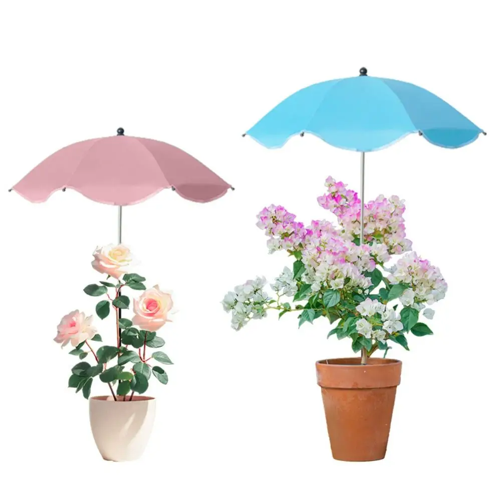 Rainproof Plant Sunshade Umbrella Height Adjustable Easy Installation Garden Parasols UPF50+ Plants Cool Refuge Garden Beds
Rainproof Plant Sunshade Umbrella Height Adjustable Easy Installation Garden Parasols UPF50+ Plants Cool Refuge Garden Beds
