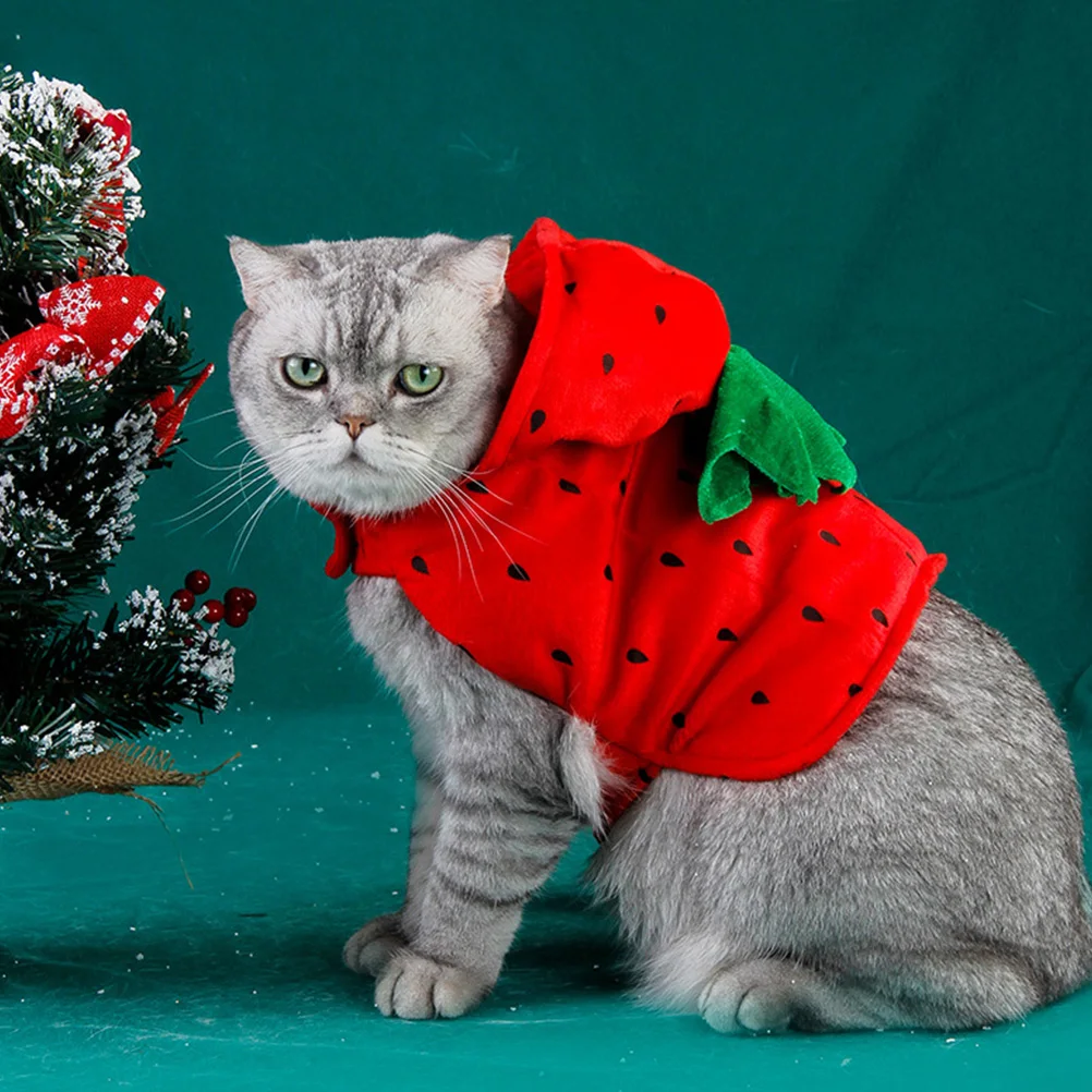 Strawberry Pet Costume Cute Dog Clothes Funny Halloween Outfit for Small Dogs Cats Chihuahua Pomeranian Poodle Winter
Strawberry Pet Costume Cute Dog Clothes Funny Halloween Outfit for Small Dogs Cats Chihuahua Pomeranian Poodle Winter