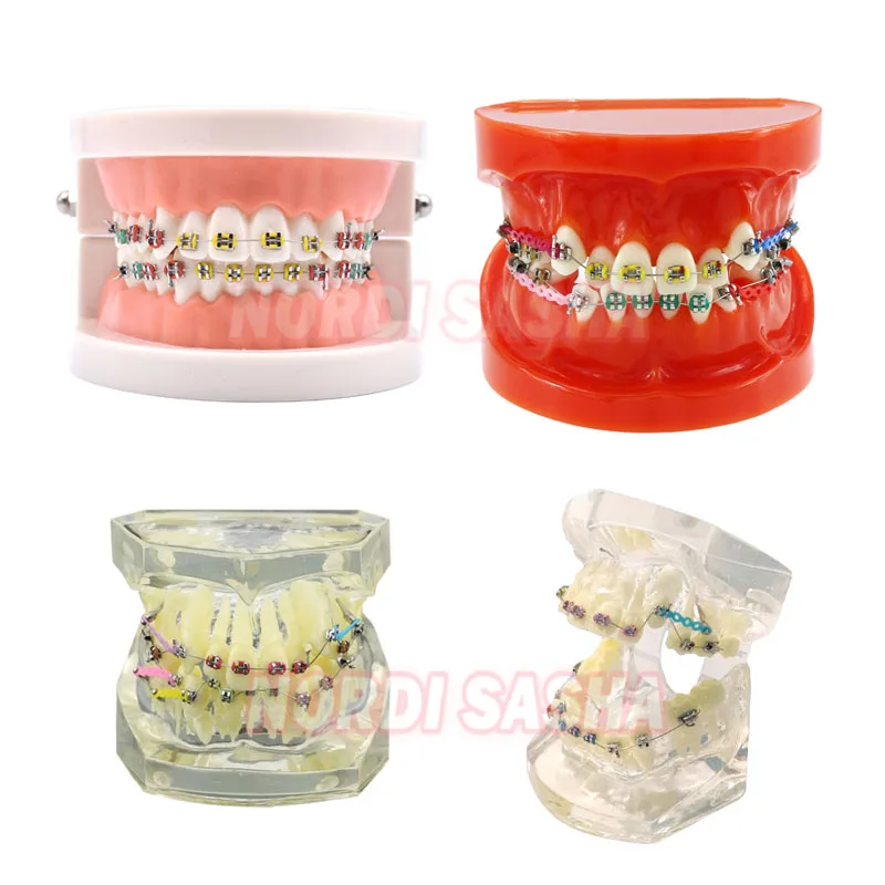 1Pcs/Box Dental Standard Orthodontic Teeth Model Full Metal Bracket Malocclusion Orthodontic Teaching Model Training Model
1Pcs/Box Dental Standard Orthodontic Teeth Model Full Metal Bracket Malocclusion Orthodontic Teaching Model Training Model