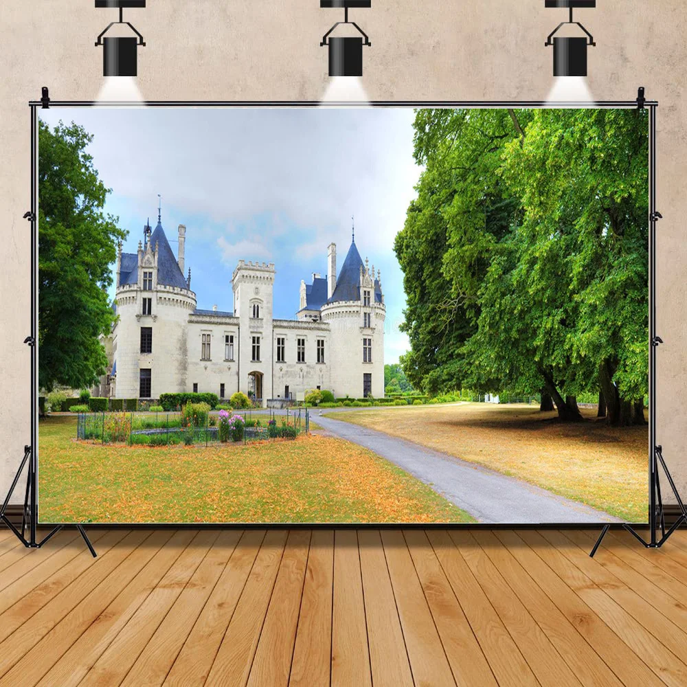 SHENGYONGBAO Castle Palace Indoor Photography Background Newborn Child Birthday Photo Background Photo Gallery Props CB-17
SHENGYONGBAO Castle Palace Indoor Photography Background Newborn Child Birthday Photo Background Photo Gallery Props CB-17