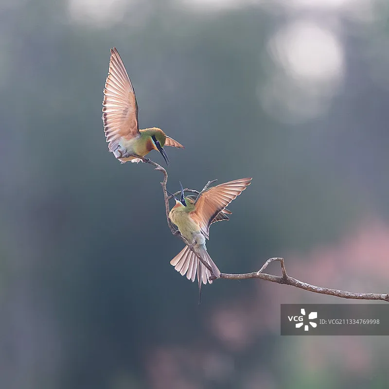 Мотор iFlight XING-E 5215 300KV/500KV, запчасти и аксессуары для FPV дрона
Мотор iFlight XING-E 5215 300KV/500KV, запчасти и аксессуары для FPV дрона