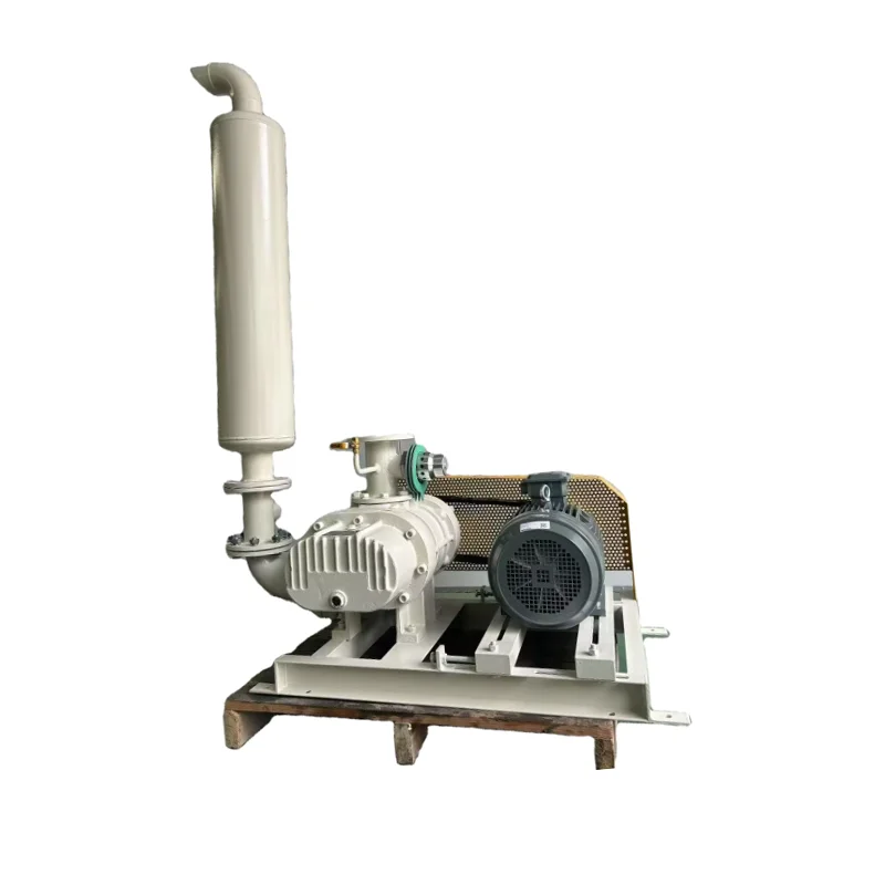 Electric Roots Vacuum Pump for Sewage Treatment Oxygen-Enhancing Negative Pressure Fan Medium Pressure AC Current
Electric Roots Vacuum Pump for Sewage Treatment Oxygen-Enhancing Negative Pressure Fan Medium Pressure AC Current