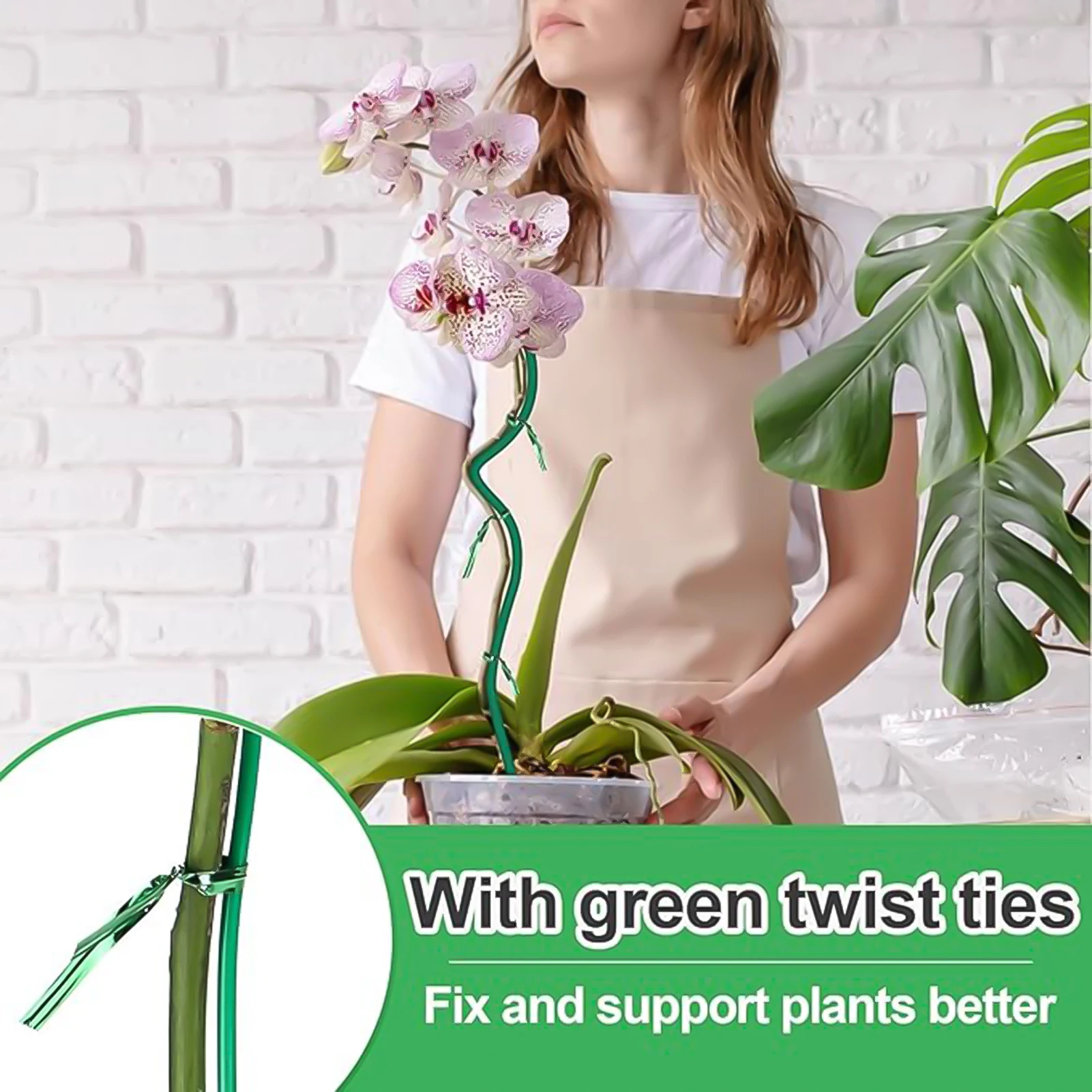 Режущие подставки для цветов с зажимами для выращивания растений, вертикальные колья для садовых горшечных растений, используйте MIAO-US
Режущие подставки для цветов с зажимами для выращивания растений, вертикальные колья для садовых горшечных растений, используйте MIAO-US