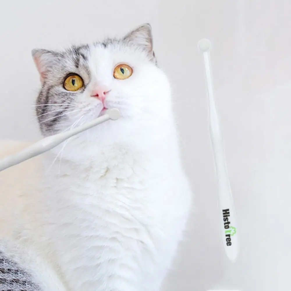 Plastic/PBT Round Head Pet Toothbrush Round Head Soft Cat Soft Toothbrush White/Yellow/Blue/Green Pet Oral Cleaning Toothbrush
Plastic/PBT Round Head Pet Toothbrush Round Head Soft Cat Soft Toothbrush White/Yellow/Blue/Green Pet Oral Cleaning Toothbrush