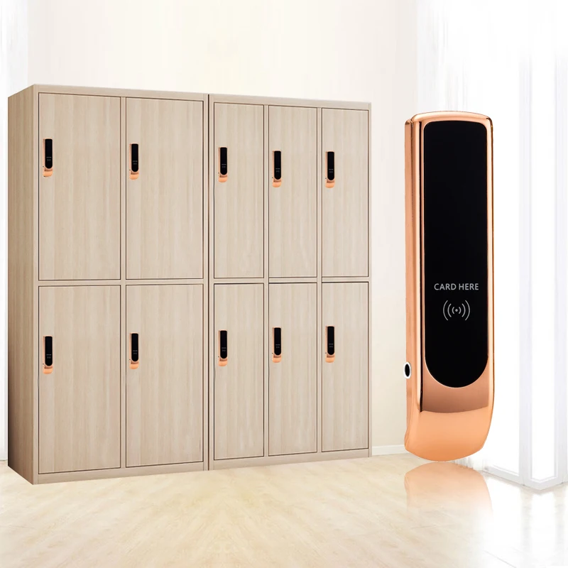 Manufacturer High Security Keyless Metal RFID Card Cabinet Key Locker Lock Electrical Smart Lock Sensor for Gym Spa Swimming
Manufacturer High Security Keyless Metal RFID Card Cabinet Key Locker Lock Electrical Smart Lock Sensor for Gym Spa Swimming