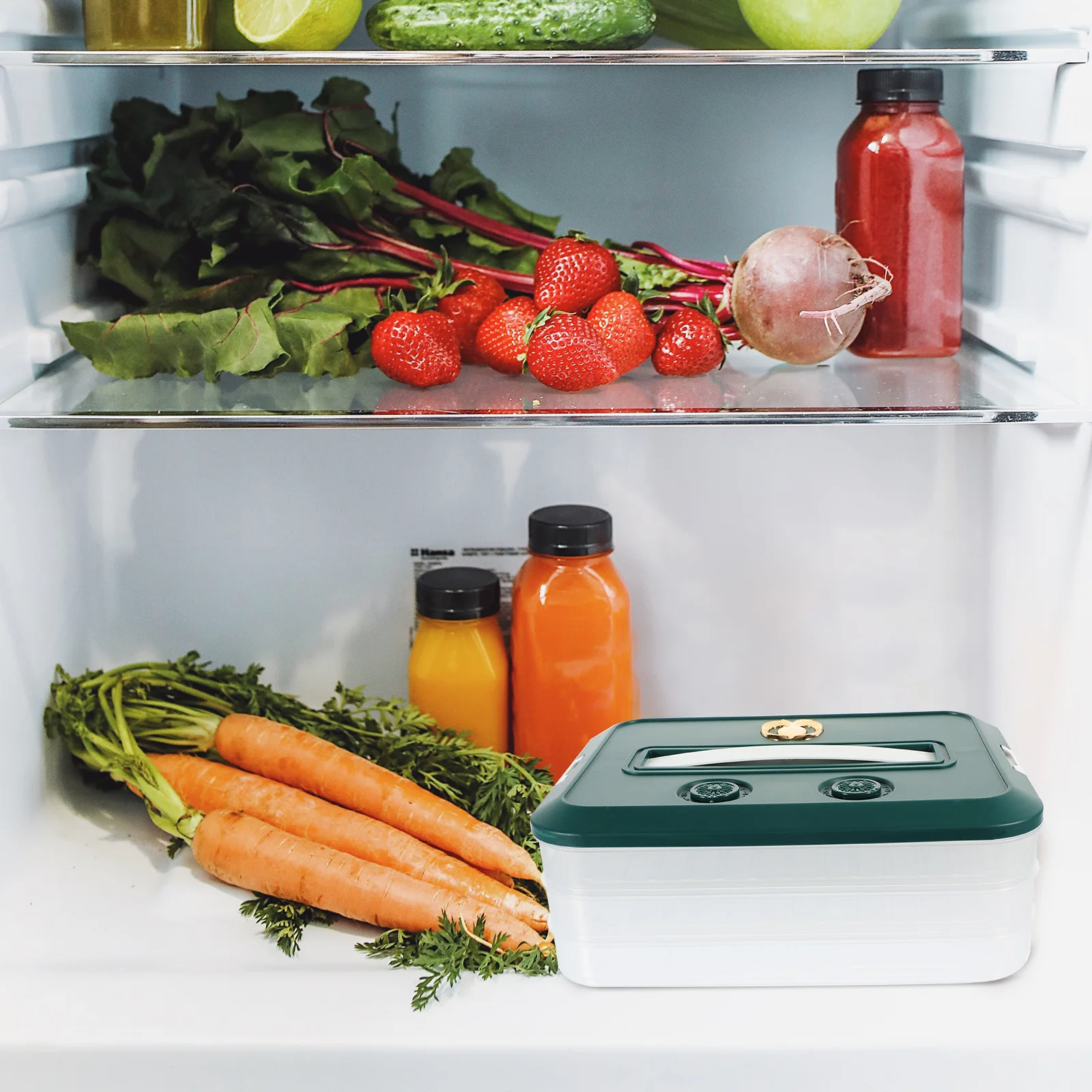 tier PP Refrigerator Storage Container for Dumplings Food Preservation Box Non slip Airtight Fridge Case
tier PP Refrigerator Storage Container for Dumplings Food Preservation Box Non slip Airtight Fridge Case