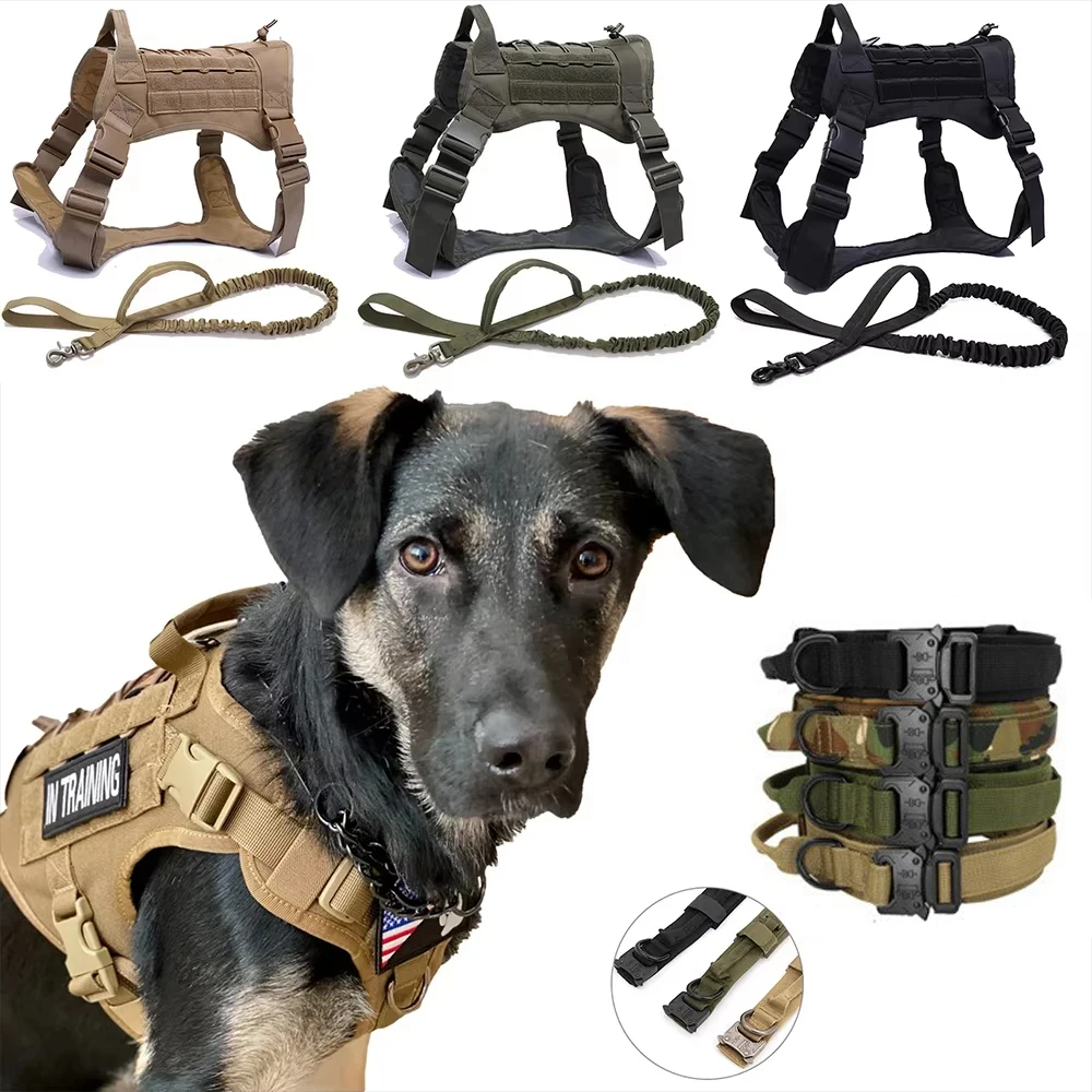 Военный тактический жилет для собак с поводком, регулируемый для средних/больших собак, ручка управления для тренировок и прогулок
Военный тактический жилет для собак с поводком, регулируемый для средних/больших собак, ручка управления для тренировок и прогулок