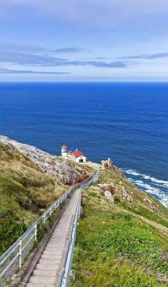 Автомагнитола 256 ГБ Android 13 для Ford F150 2009-2014, вертикальный экран, мультимедийный плеер, головное устройство, беспроводной Carplay
Автомагнитола 256 ГБ Android 13 для Ford F150 2009-2014, вертикальный экран, мультимедийный плеер, головное устройство, беспроводной Carplay