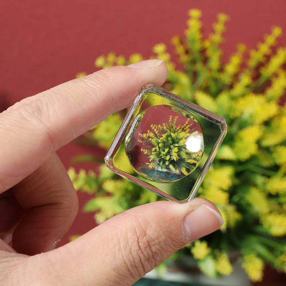 Прозрачная подставка для хрустального шара, высококачественная, для шаров диаметром 8-12 см, надежный держатель для демонстрации, настольный декор, современный минималистичный дизайн
Прозрачная подставка для хрустального шара, высококачественная, для шаров диаметром 8-12 см, надежный держатель для демонстрации, настольный декор, современный минималистичный дизайн