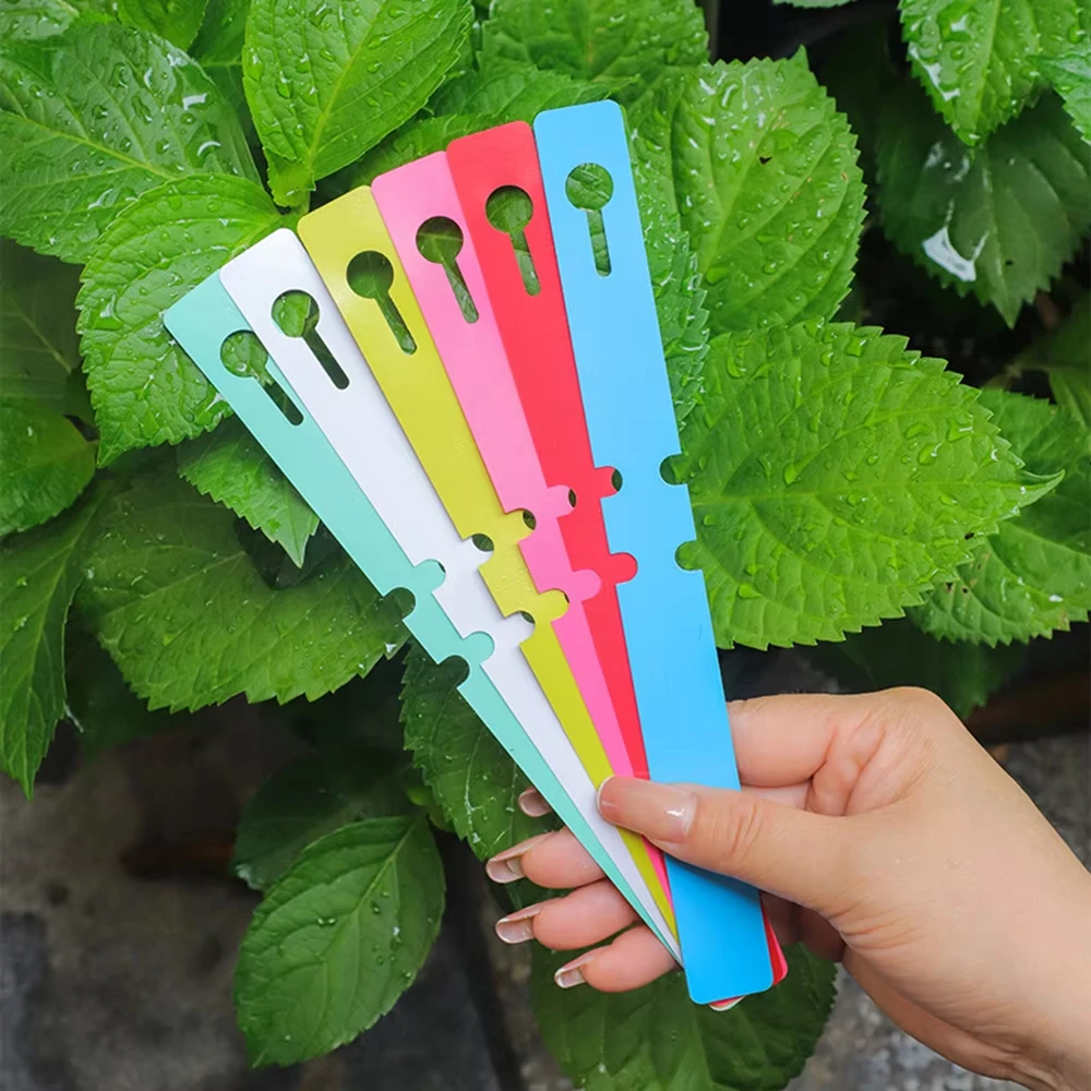 100PCS Pvc Waterproof Garden Ring Tags for Flower Plant Labels, Seedlings, Orchids, Garden Floral Markers, Plastic Signboards
100PCS Pvc Waterproof Garden Ring Tags for Flower Plant Labels, Seedlings, Orchids, Garden Floral Markers, Plastic Signboards