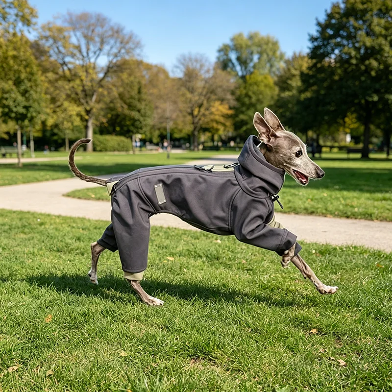 Lingtihuibit Cotton-padded Clothes Pet Dog Winter Clothes Warm Turtleneck Cotton Clothes Lingti Huibit Coats Dog Hooded Jackets
Lingtihuibit Cotton-padded Clothes Pet Dog Winter Clothes Warm Turtleneck Cotton Clothes Lingti Huibit Coats Dog Hooded Jackets