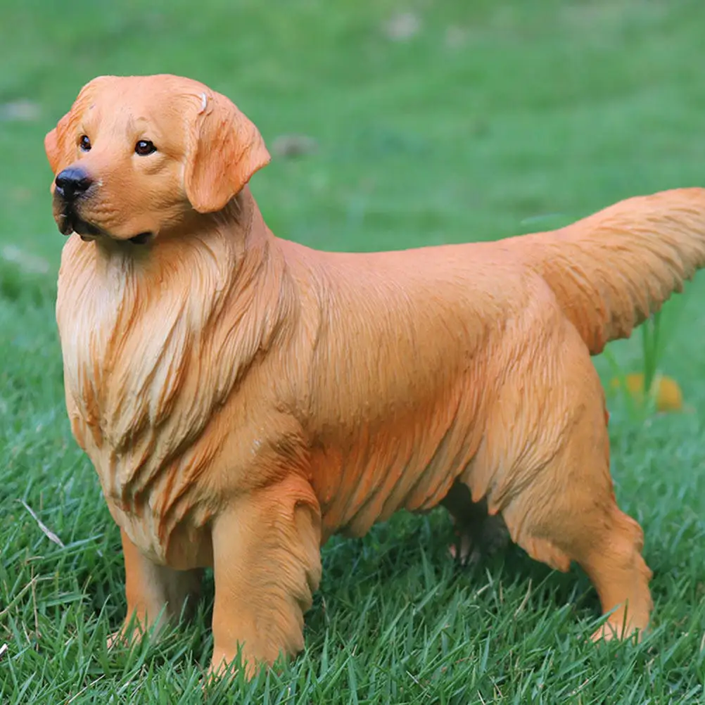 Golden Retriever Figurines Realistic Dog Figures Vivid Animal ToysDecorative Statues Great Gifts Kids Party SharingDesktop Decor
Golden Retriever Figurines Realistic Dog Figures Vivid Animal ToysDecorative Statues Great Gifts Kids Party SharingDesktop Decor